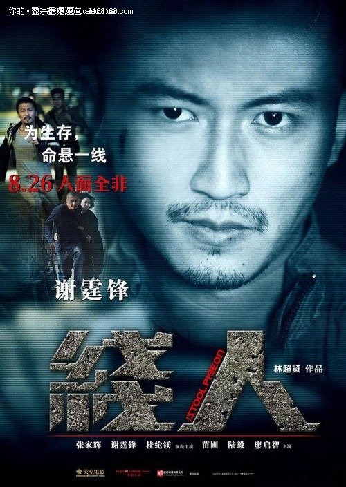 比萨大学理工科文凭证书
